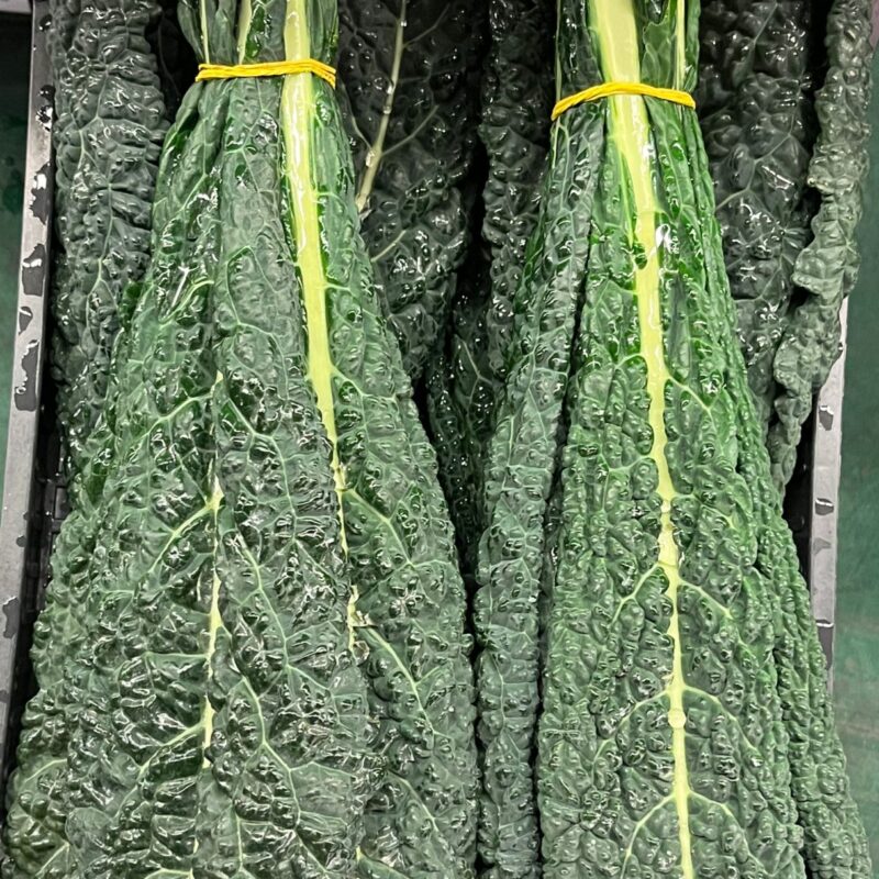 cavolo nero