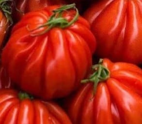 pom cuere di bue