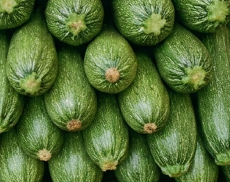 zucchino romanesco