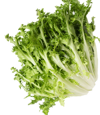 scarola