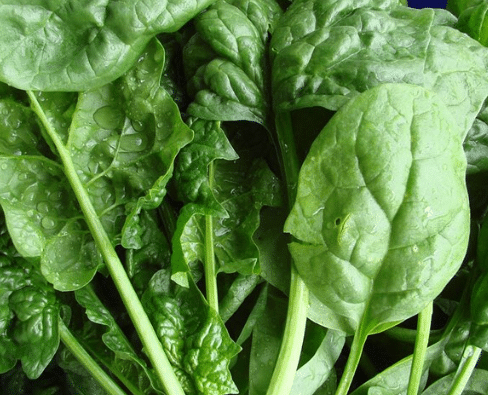 spinaci